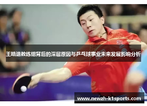 王皓退教练组背后的深层原因与乒乓球事业未来发展影响分析